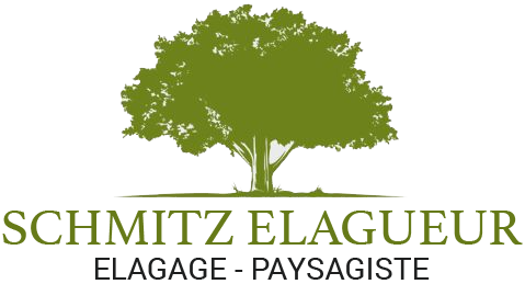 Schmitz Elagage